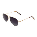 Proveedor óptico de monturas y gafas de sol , Mundogafas , MARBELLA , Dorado 56-16-145 , Gafas de sol ,